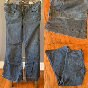 EUC Gap Limited Edition 12r Trouser Flare Jeans